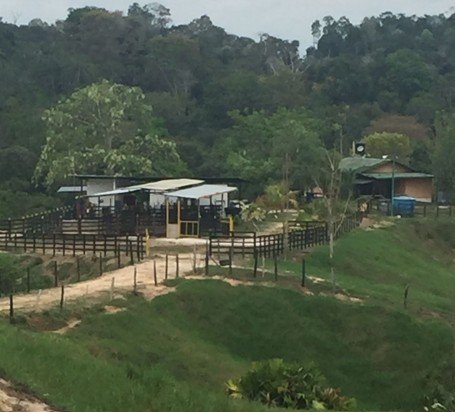finca sabana