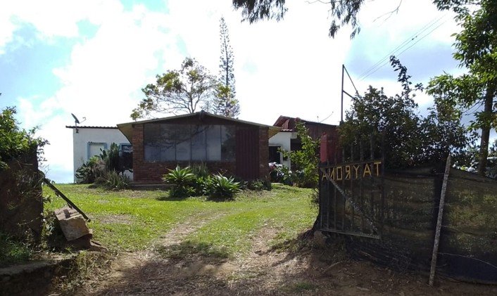 granja avicola